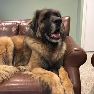 Meet your Posher, Natalie